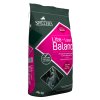 lite lean balancer right