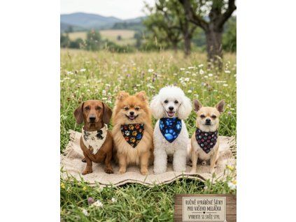 Messenger creation 509FB1AA 28DB 4E05 8E29 10FAB0ECEA63