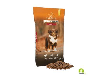 Puppy & Junior All breeds Beef - 12 kg