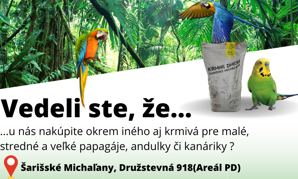 Papagaje, andulky, kanariky