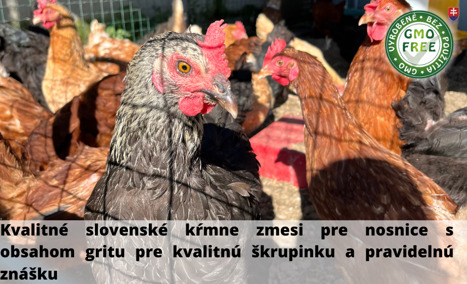 Nosnice krmiva