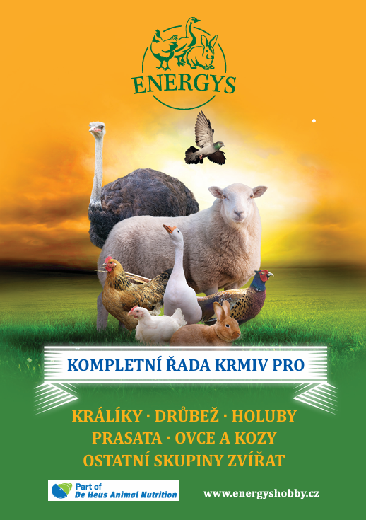 energys hobby krmiva
