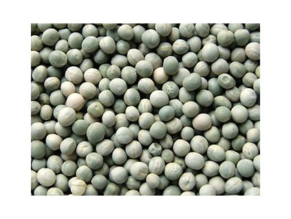 Kampol Hrách zelený krmný