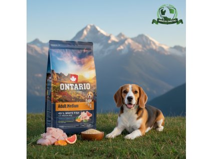 downloaded file (27)