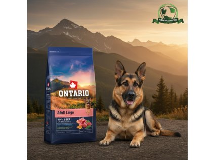 downloaded file (30)