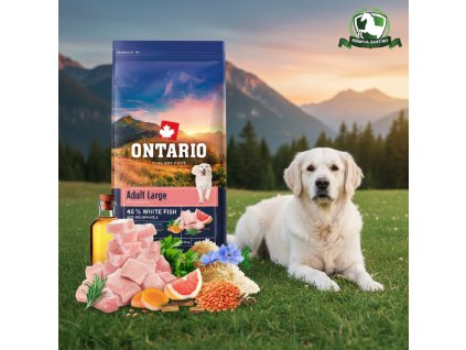 downloaded file (32)