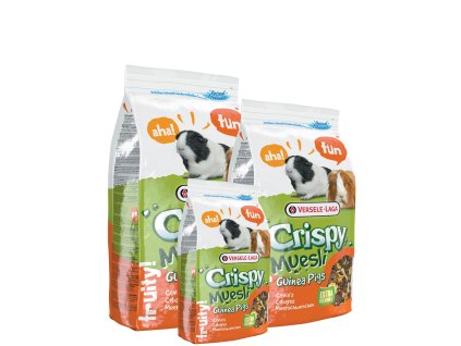 5410340617106group (1)