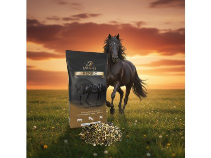 image 2026 01 05T161548.609