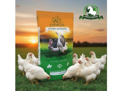 image 2026 01 12T150152.472