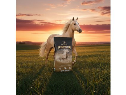 image 2026 01 05T160055.253