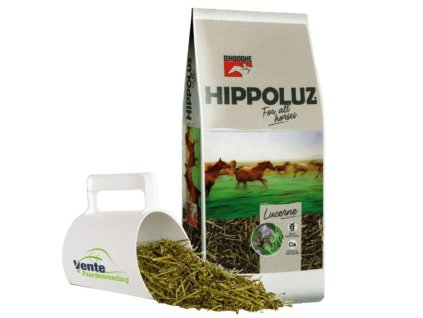 Snímek obrazovky 2025 02 19 131546