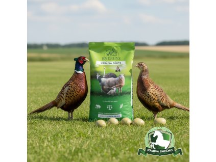 downloaded file (58)