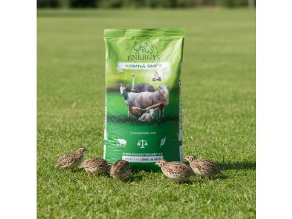 downloaded file (61)