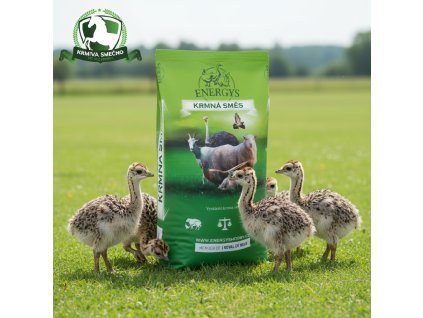 downloaded file (62)