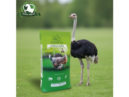 downloaded file (70)