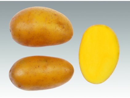 Snímek obrazovky 2026 01 14 140156