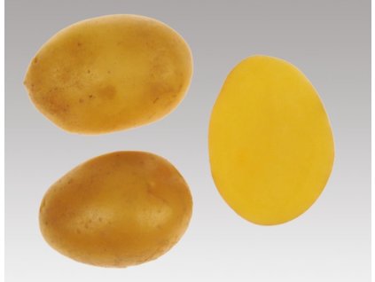 Snímek obrazovky 2026 01 14 143315