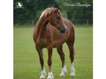 downloaded file (76)