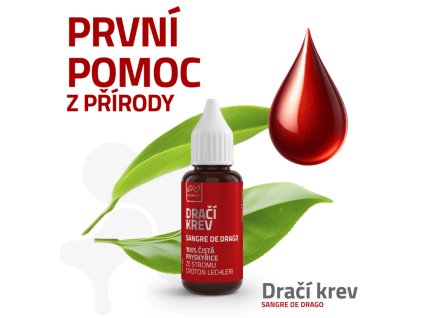 Snímek obrazovky 2026 02 13 102438