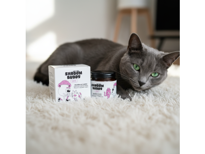 image 2026 04 21T141832.860