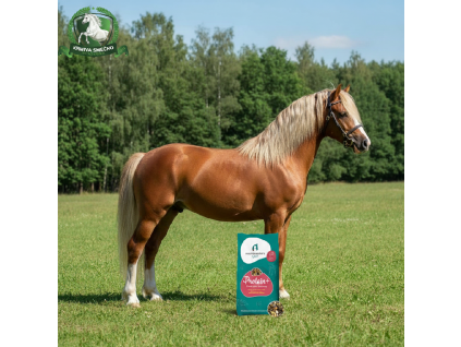 image 2026 04 22T155743.518