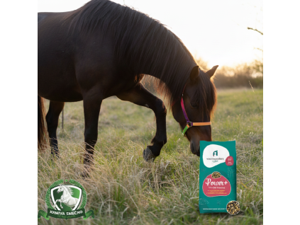 downloaded file (93)