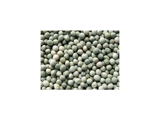 Kampol Hrách zelený krmný