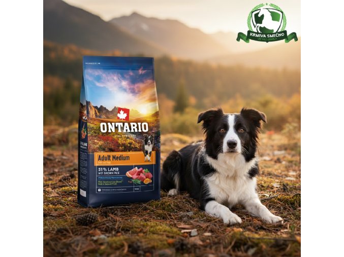 downloaded file (24)