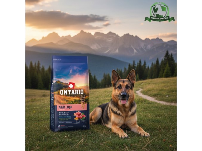 downloaded file (31)