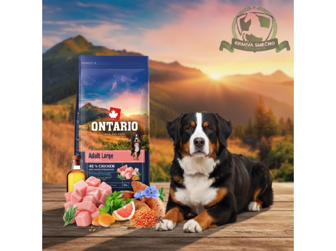 downloaded file (35)