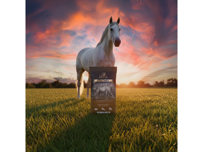 image 2026 01 05T154448.794