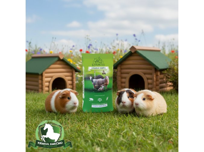 Morče Premium C 10kg