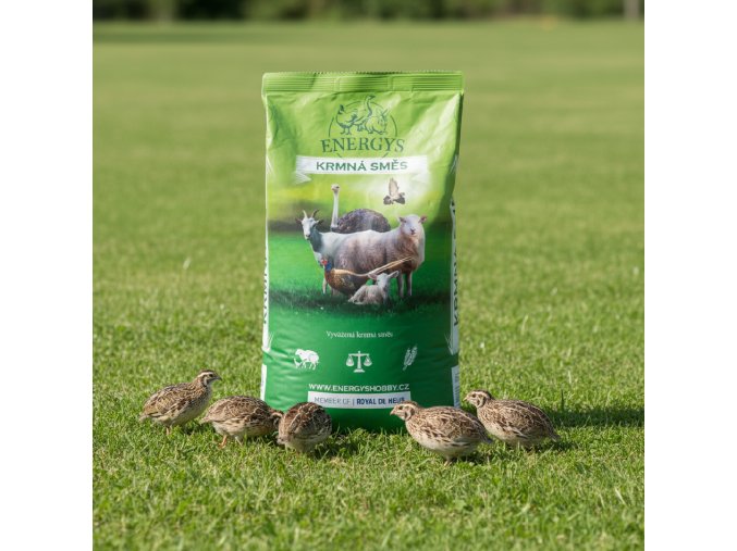 downloaded file (61)