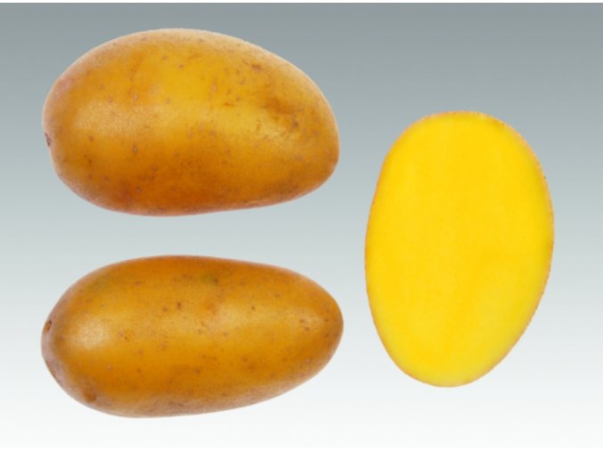 Snímek obrazovky 2026 01 14 140156