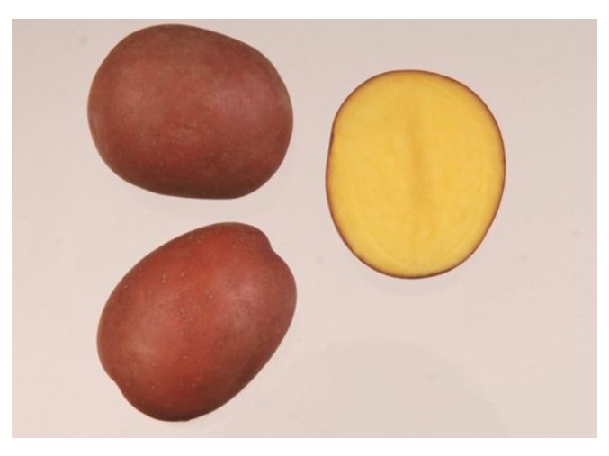 Snímek obrazovky 2026 01 14 141847