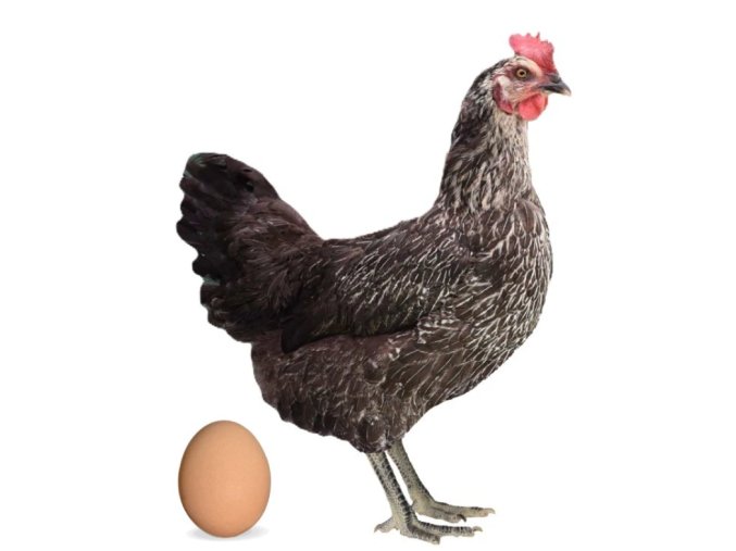 Snímek obrazovky 2026 01 22 150909