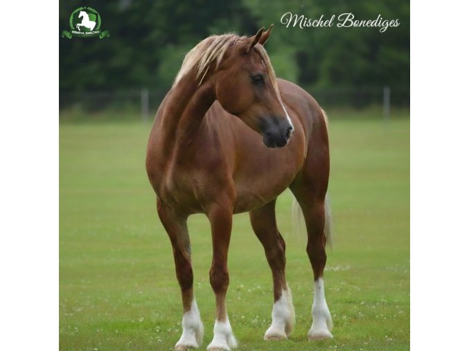 downloaded file (76)