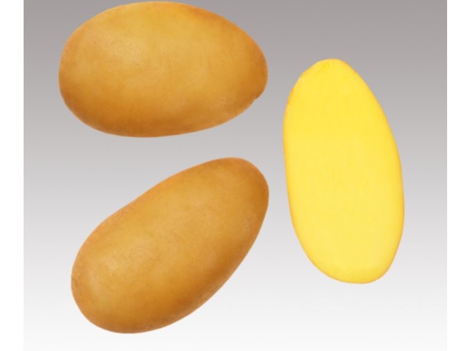 Snímek obrazovky 2026 01 27 144015