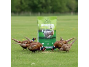 downloaded file (57)