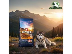 downloaded file (29)