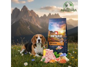 downloaded file (26)