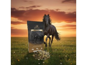 image 2026 01 05T161548.609