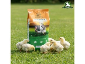 downloaded file (65)