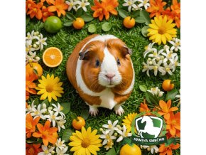 image 2026 01 05T132944.004