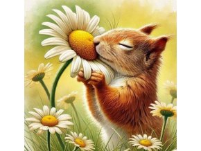 Snímek obrazovky 2025 05 27 163440