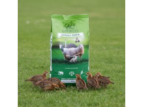 downloaded file (56)