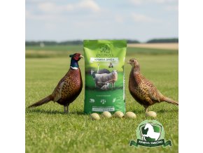 downloaded file (58)