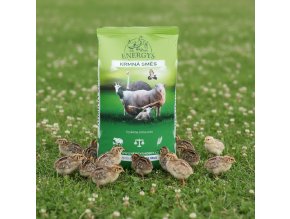 downloaded file (59)