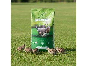 downloaded file (61)