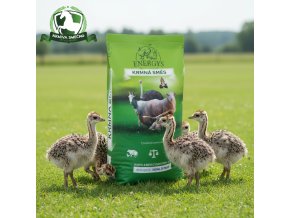 downloaded file (62)